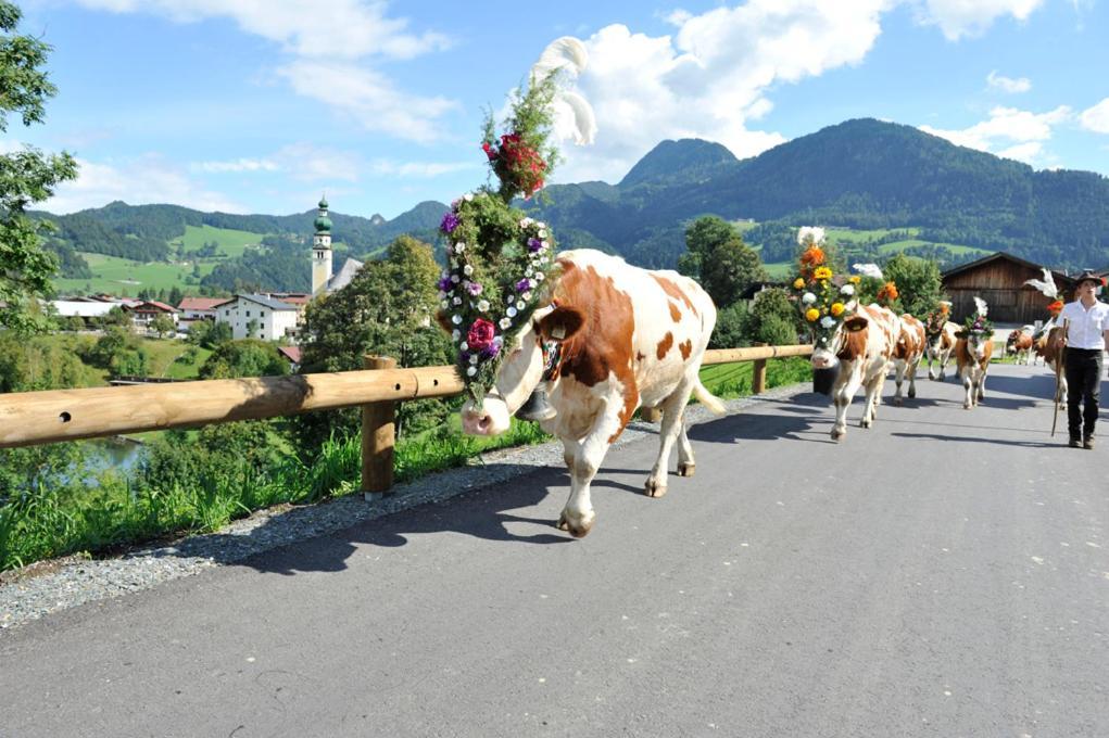 Alpapart Schneider Alpbach Dış mekan fotoğraf