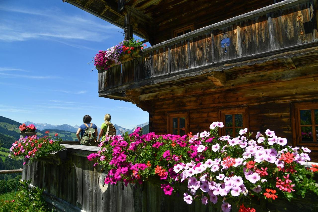 Alpapart Schneider Alpbach Dış mekan fotoğraf