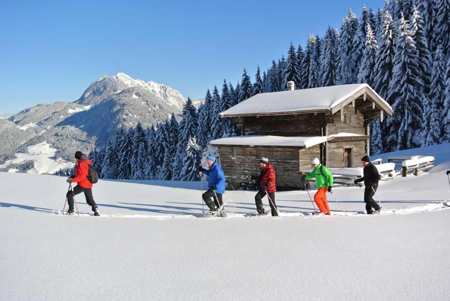 Alpapart Schneider Alpbach Dış mekan fotoğraf