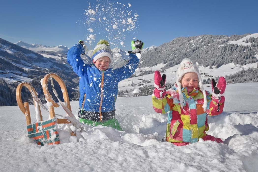 Alpapart Schneider Alpbach Dış mekan fotoğraf