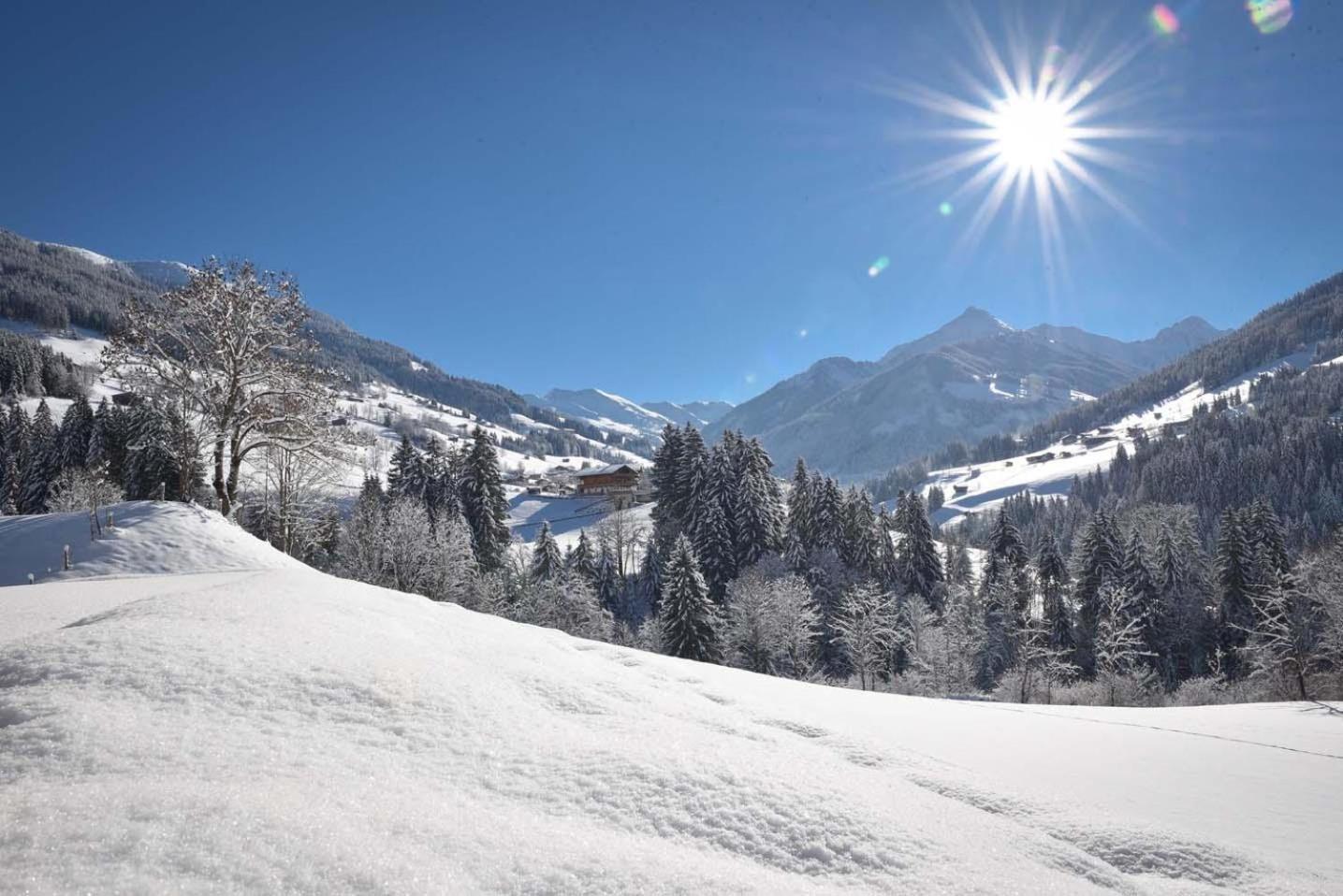 Alpapart Schneider Alpbach Dış mekan fotoğraf