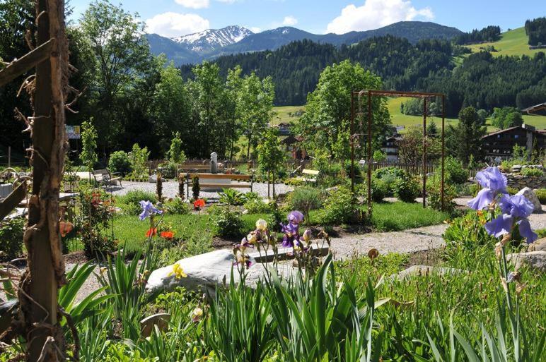 Alpapart Schneider Alpbach Dış mekan fotoğraf