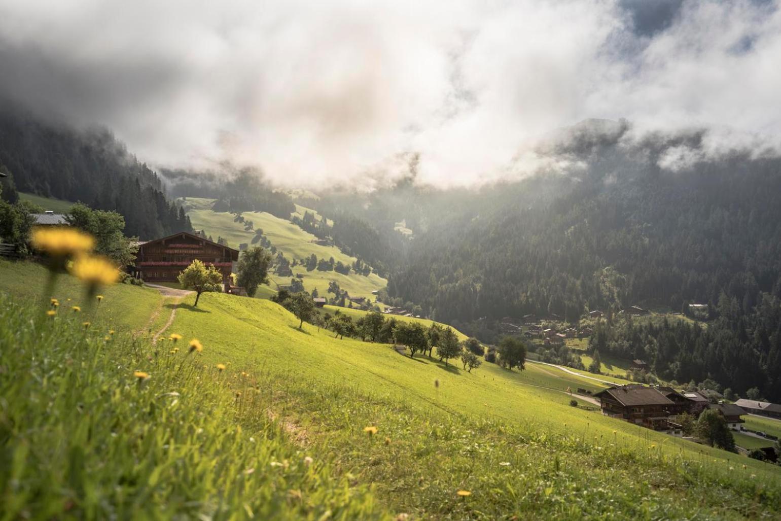 Alpapart Schneider Alpbach Dış mekan fotoğraf