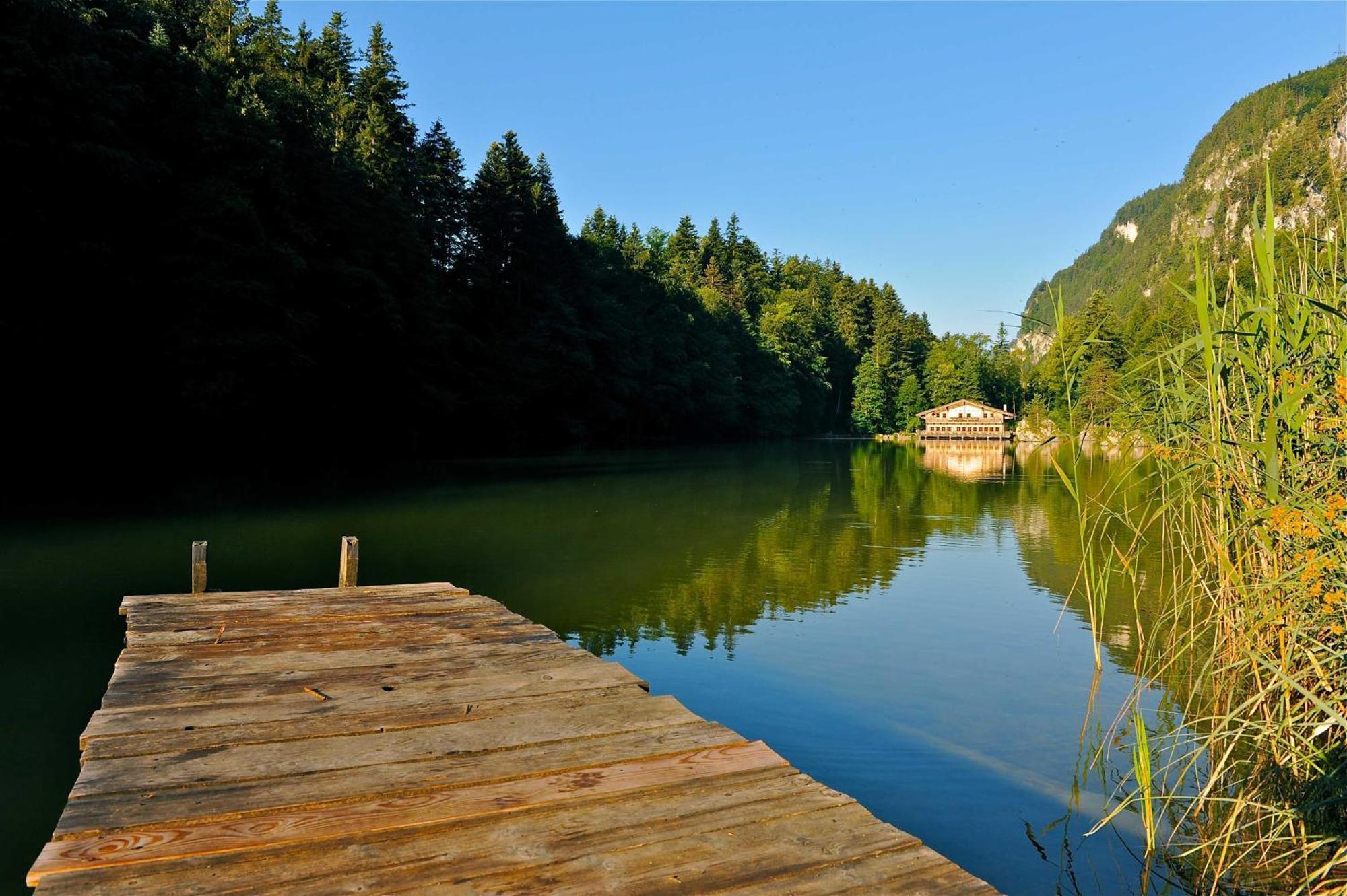 Alpapart Schneider Alpbach Dış mekan fotoğraf